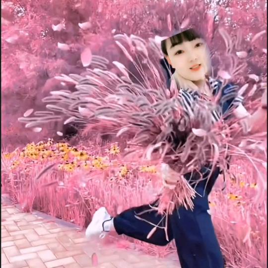 开心姐