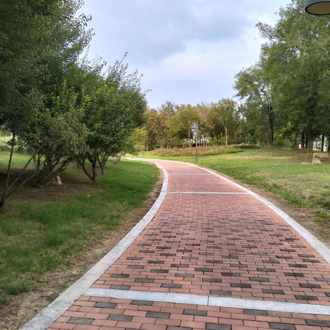 小橙子🍊🍊🍊🍊🍊🍊