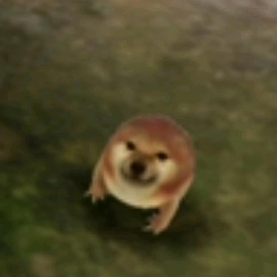 小菜狗(升级版)