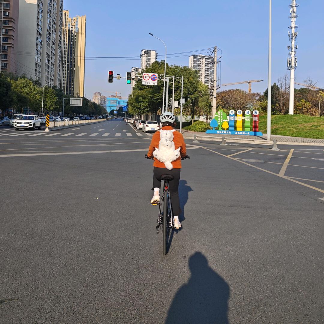 柒柒与春春