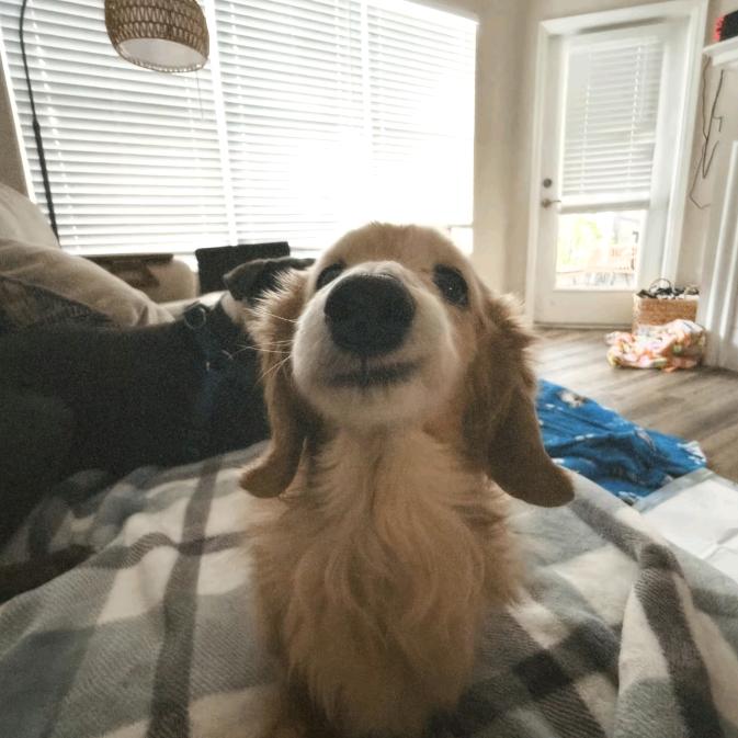 话不投机果粒多