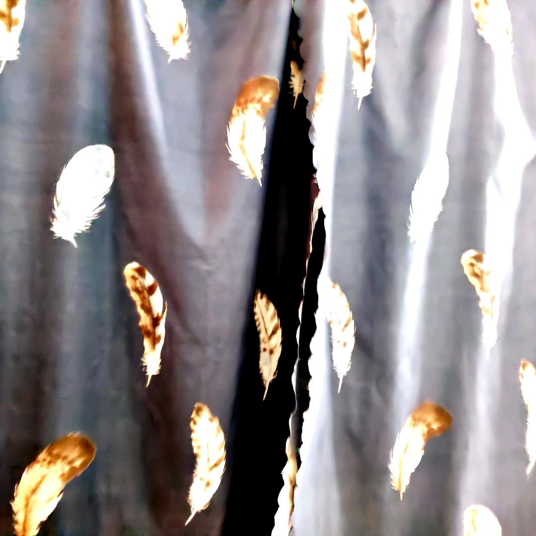 羽毛俱乐部、直播号