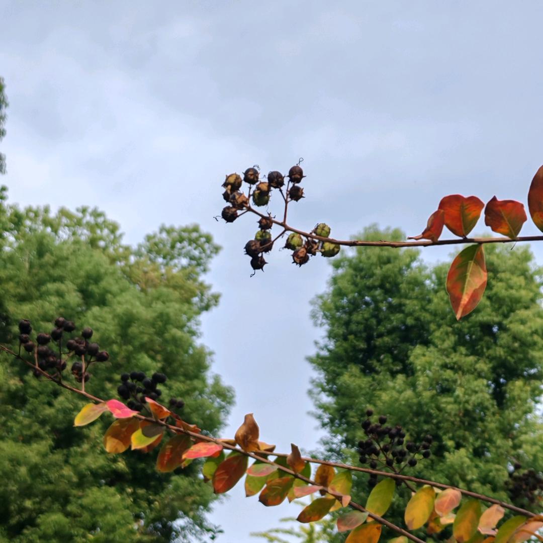 湖北泓安家政服务有限公司