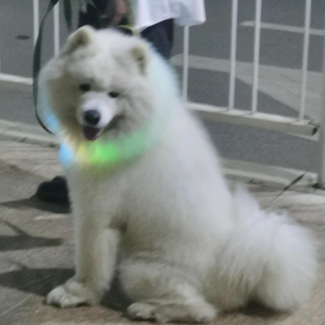 满不讲李