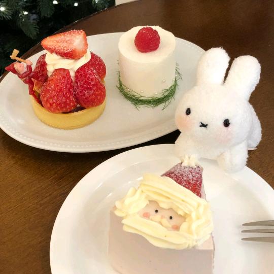 极光和小蛋糕
