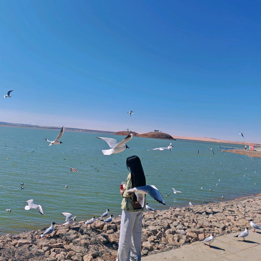 小马的朋友圈 💐