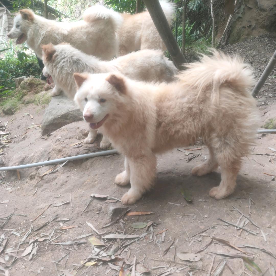 最美的时光