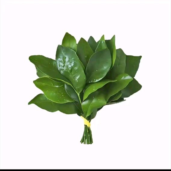简单就好