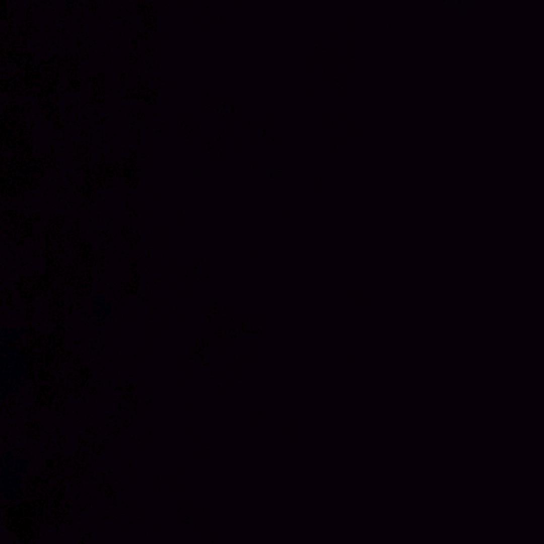 何必太执着