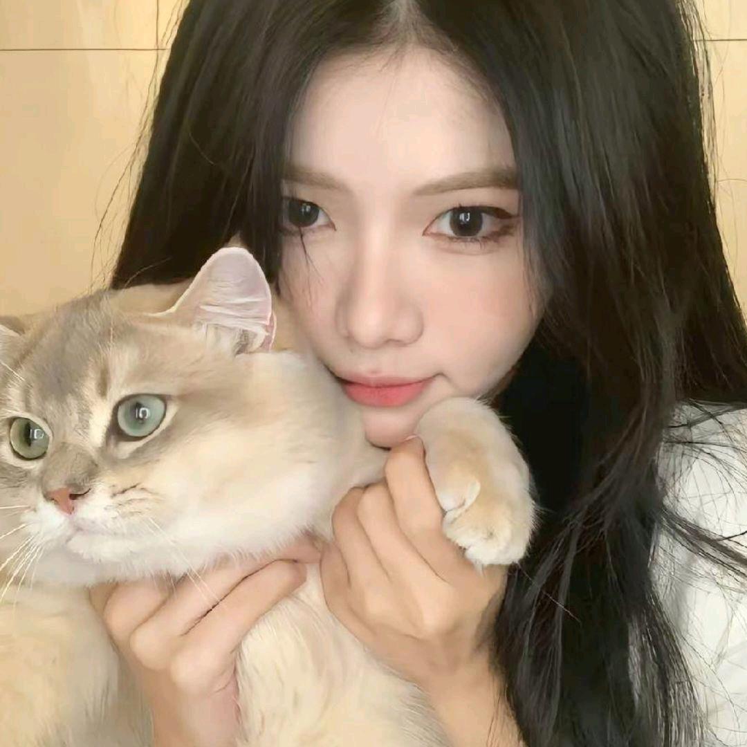 呆呆月˶˃ ᵕ ˂˶