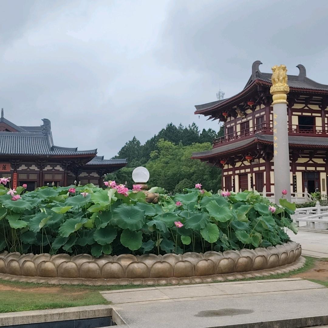 人生快乐