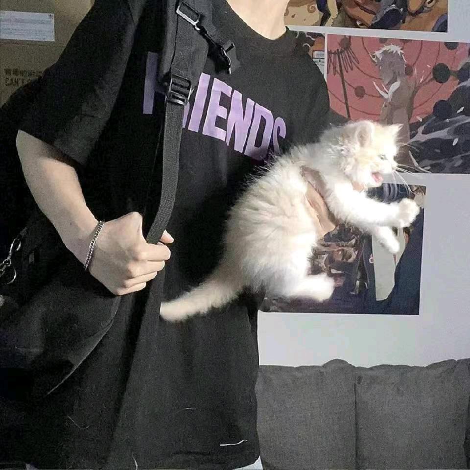 寒 .笙