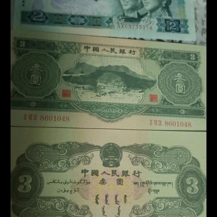 🚌老林