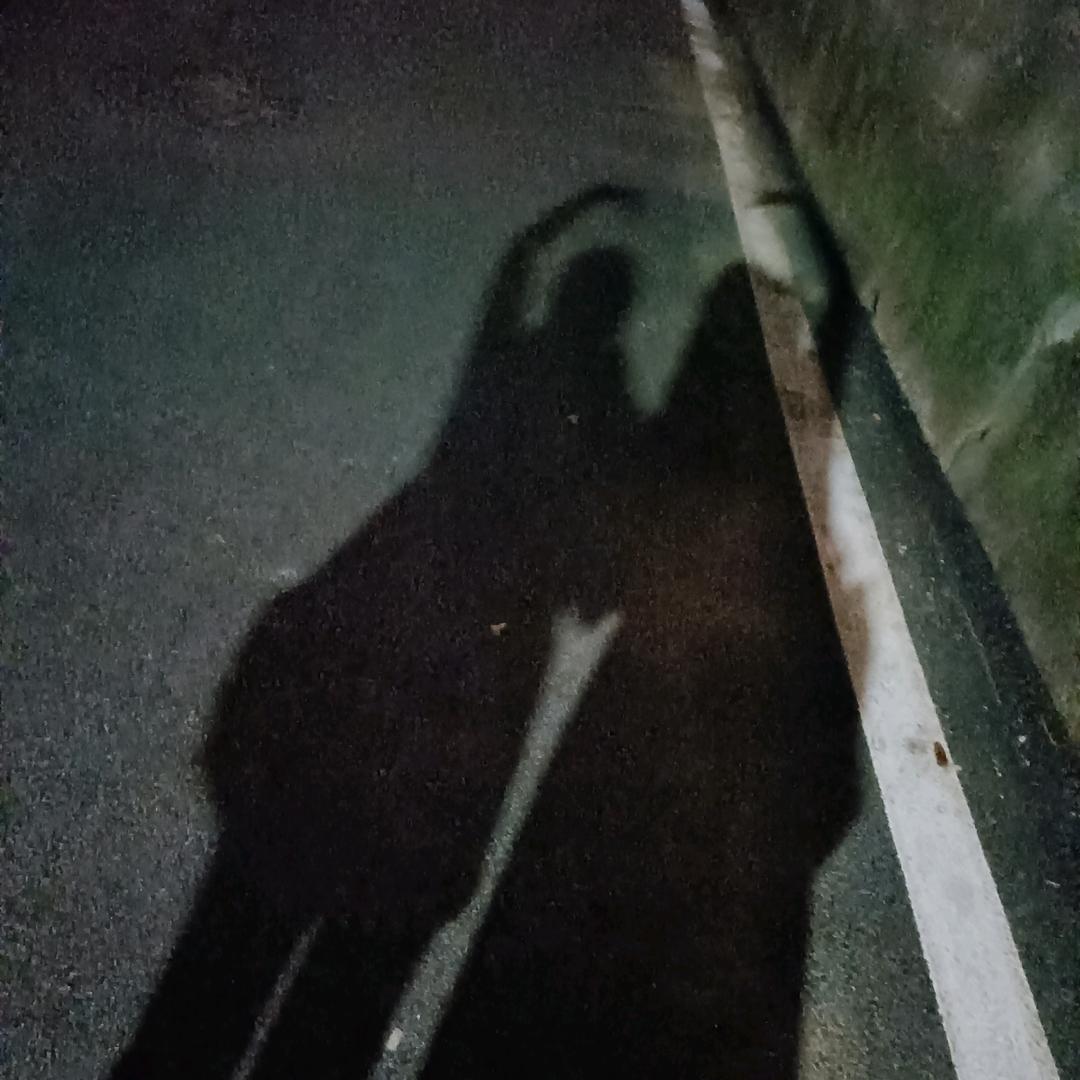 杨枝甘露味的维C