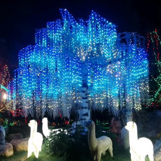 💗᭄小幸运女神᭄