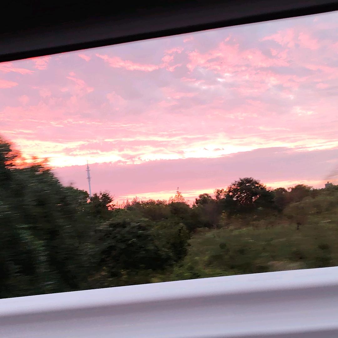 🌺