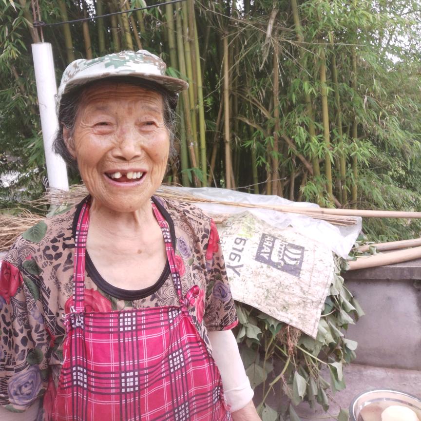 农村婆婆记录生活