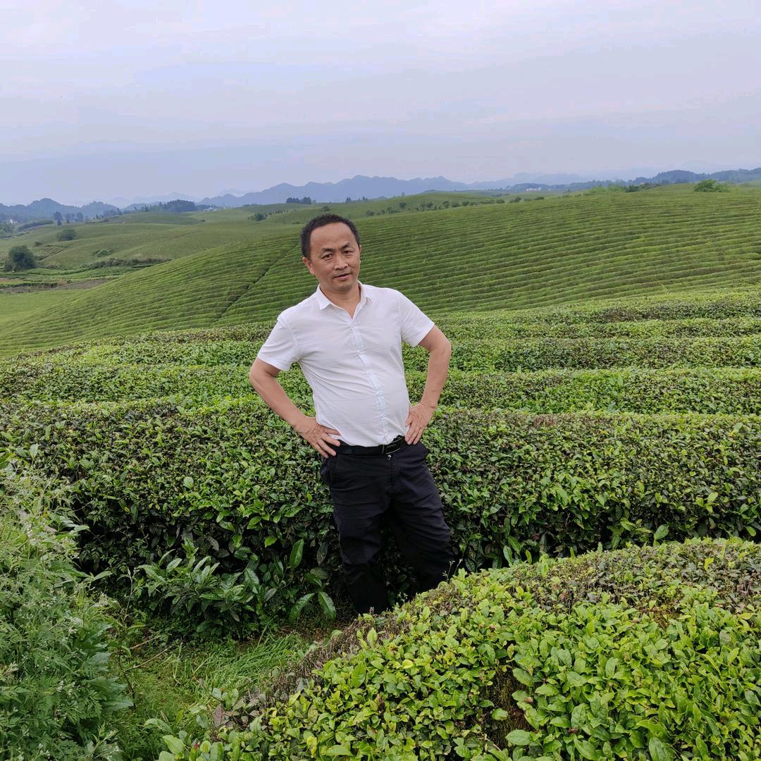 吴皇万岁万万岁