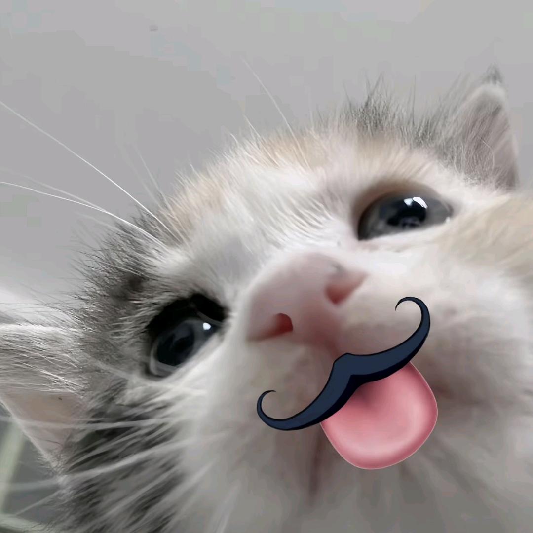 好的好的
