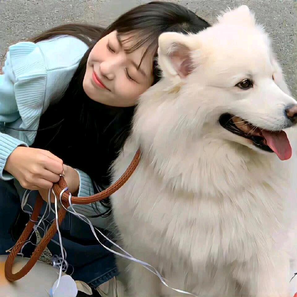 林欣