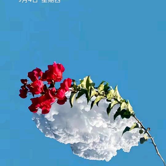 羅，去羅不在你心