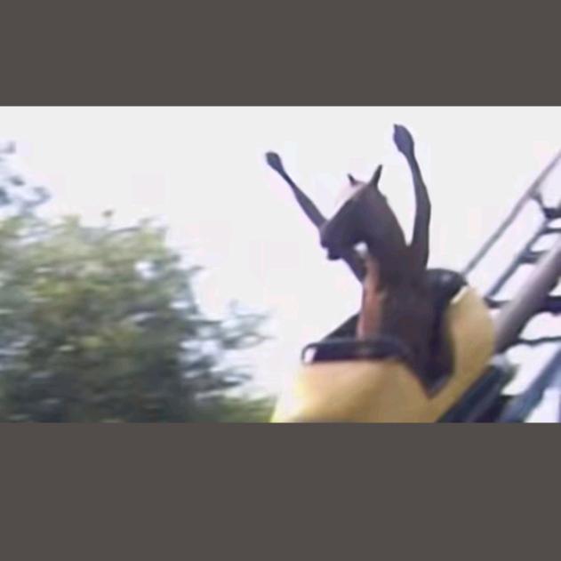 (•̤̀ᵕ•̤́๑)ᵒᵏᵎᵎᵎᵎ