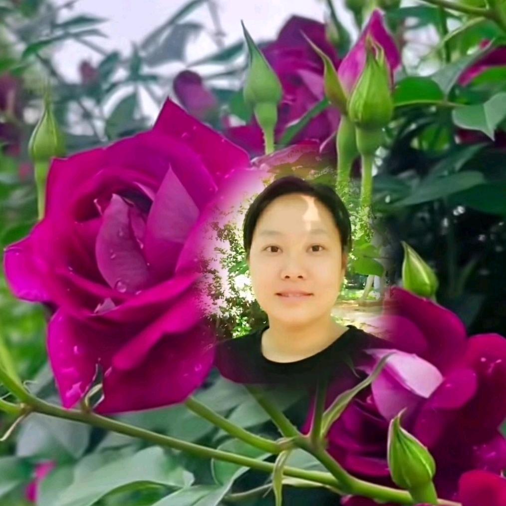 佛粒优贝家