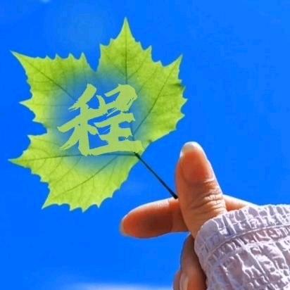 燕子🎶