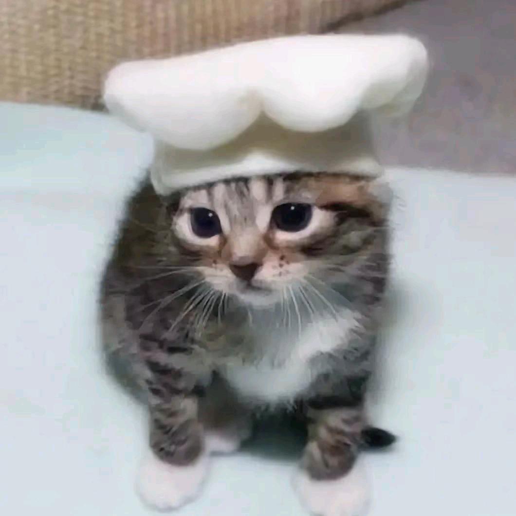 -̗̀ꪔ̤̥ꪔ̤̮ꪔ̤̫̖́-头像