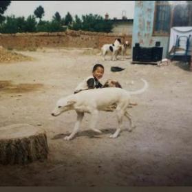 潘宏爱喂狗