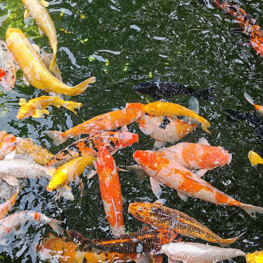 见过李宇春一次