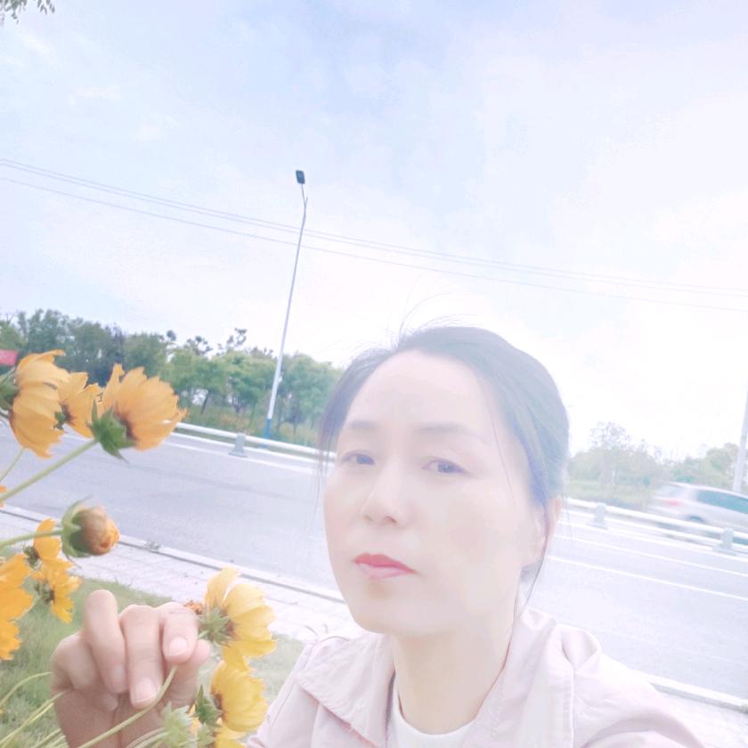 银子姐