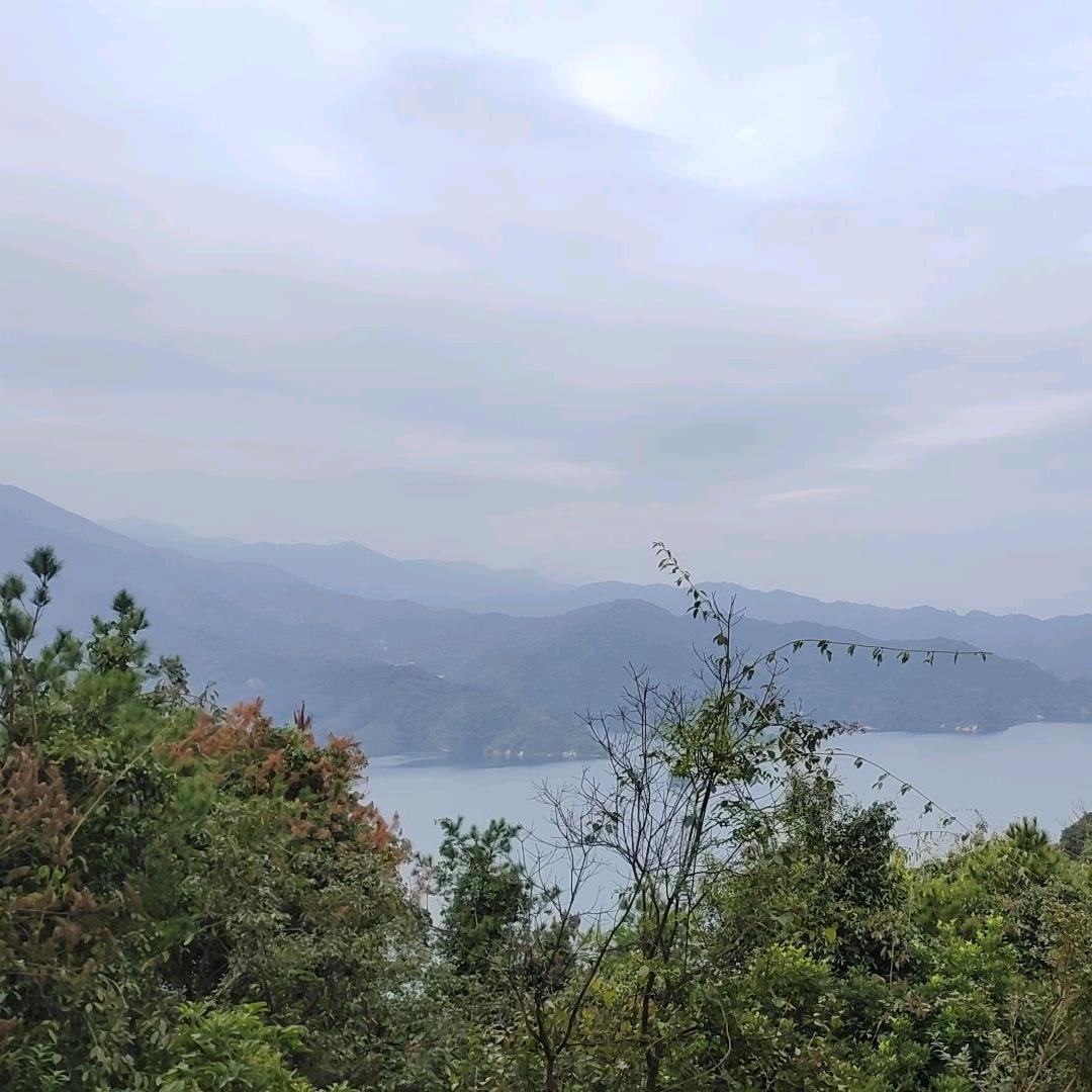 我是农村人