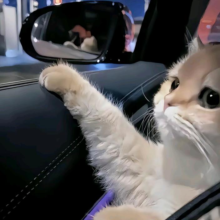 云边有个小卖部