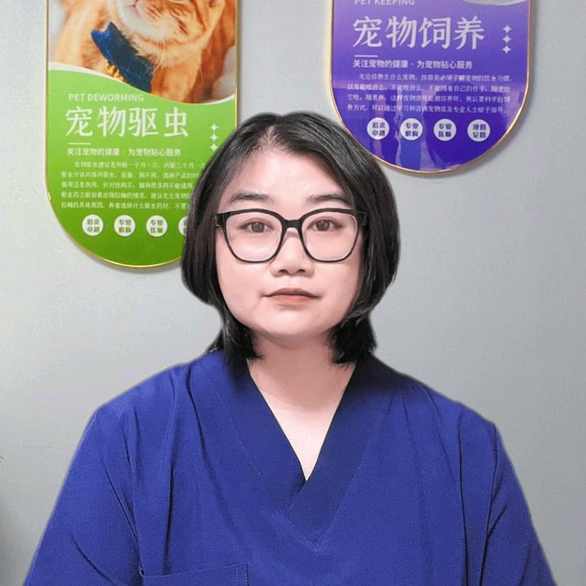 花姐养猫