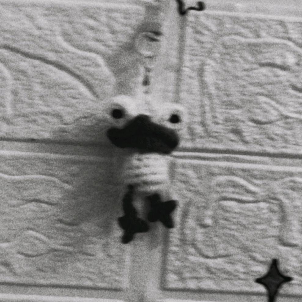 366