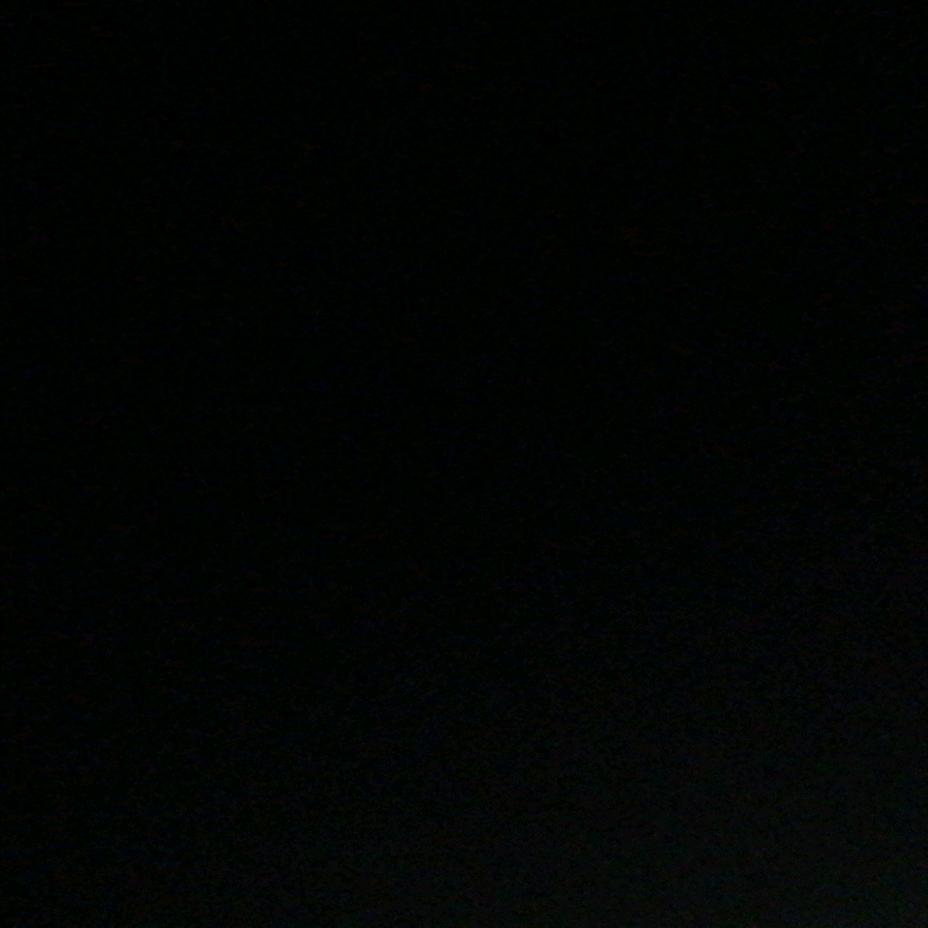 贝贝宠物