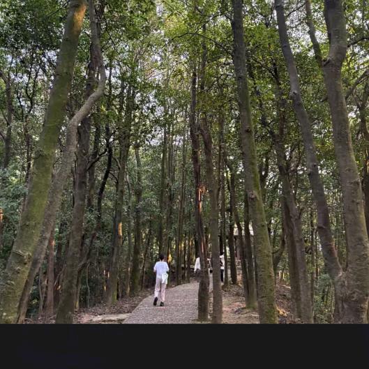 明天会更好 👫相信自己