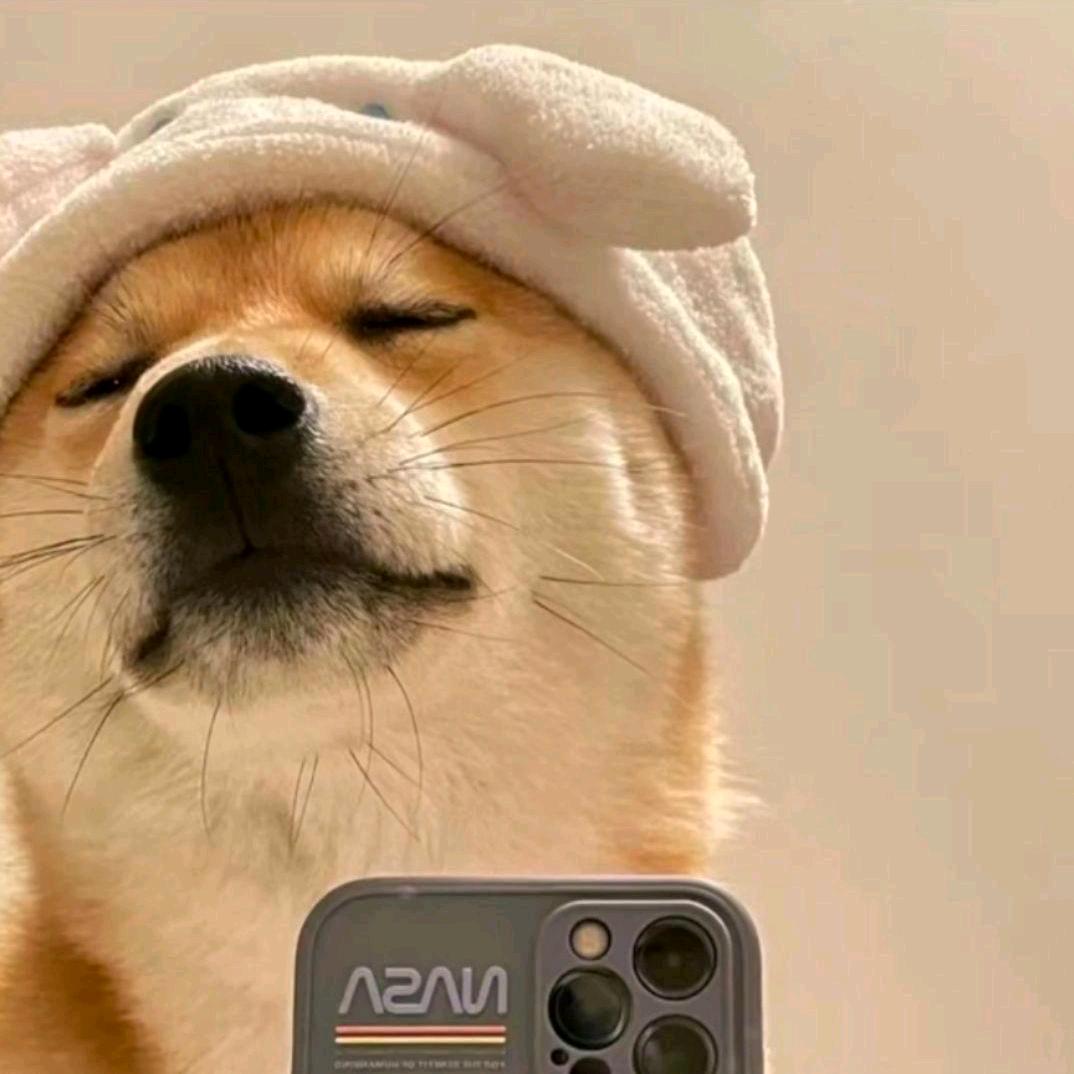 大魚魚魚魚魚魚