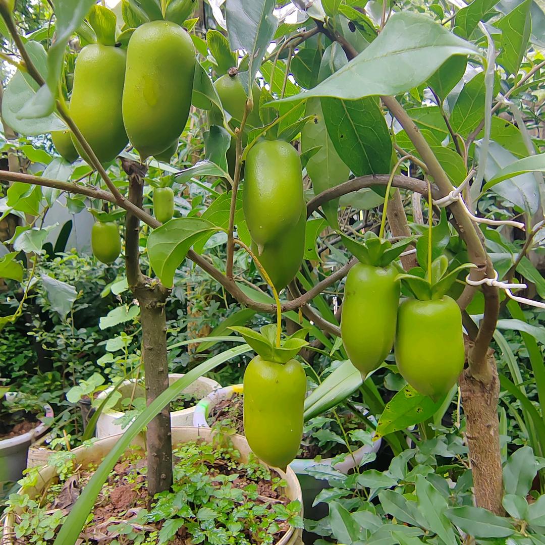 ❤️真心换不来真心