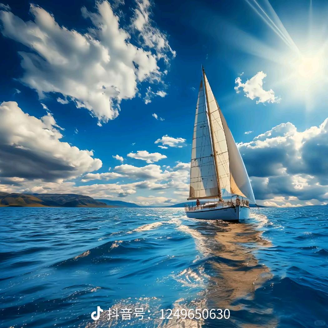 区域安全系统检查员