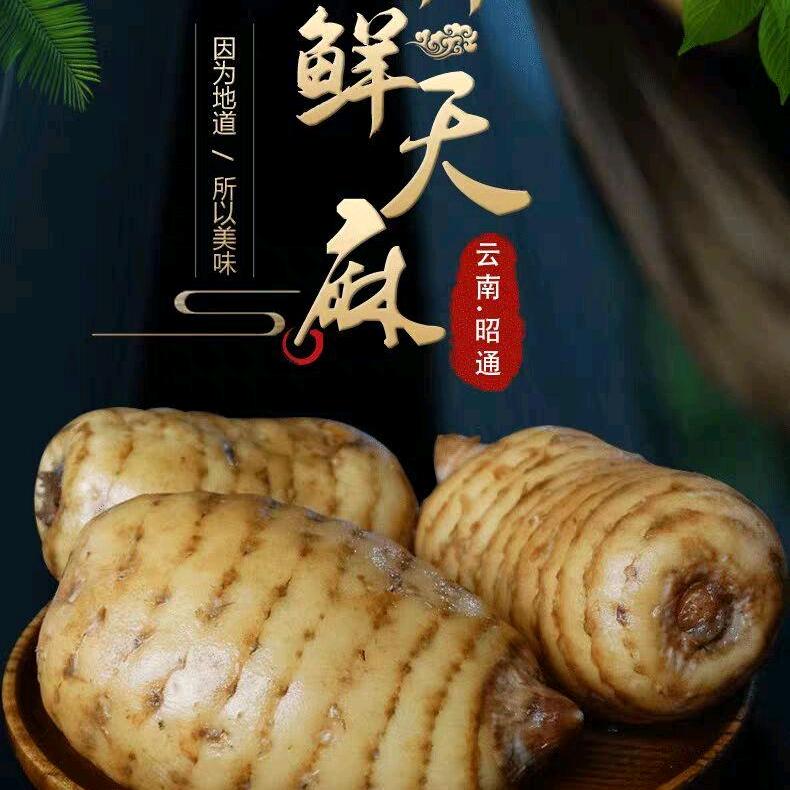 奎哥爱上山货（收直播带货徒弟，招团长）