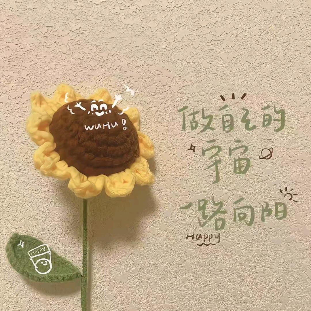 快乐丫头