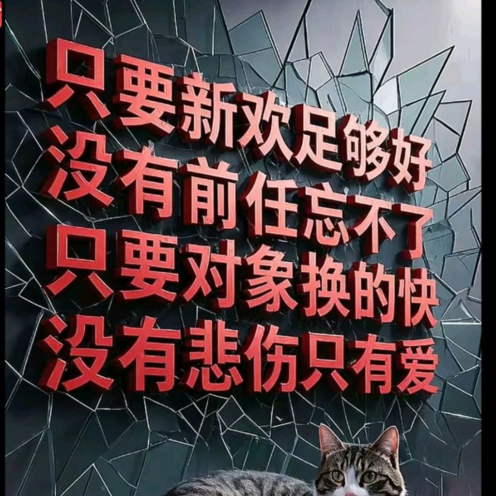 ꧁꫞单身的酒不拽☬怎么赢꫞꧂