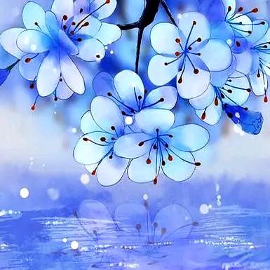 💐((🌺⥎🌺))🌹