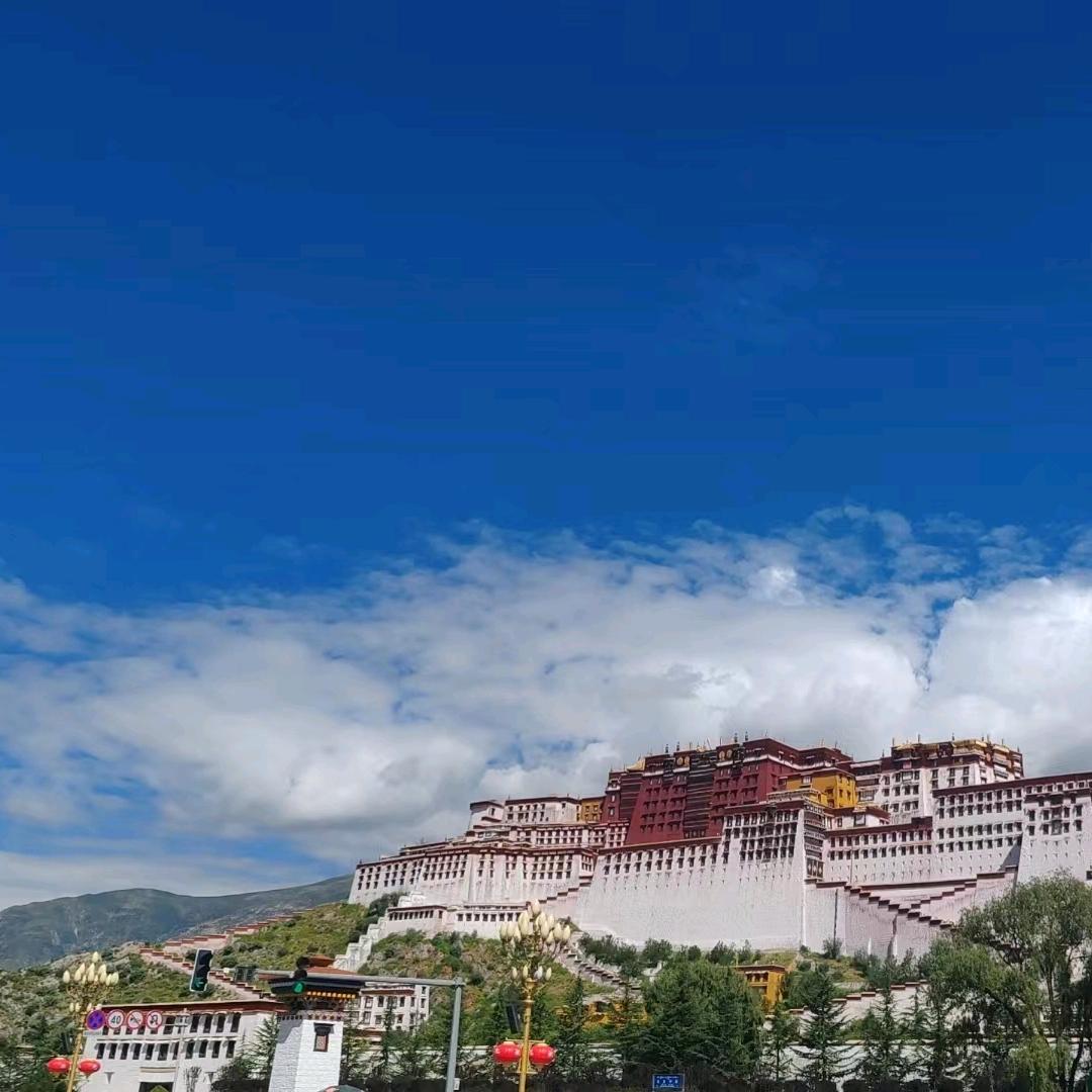 李女士的碎碎念