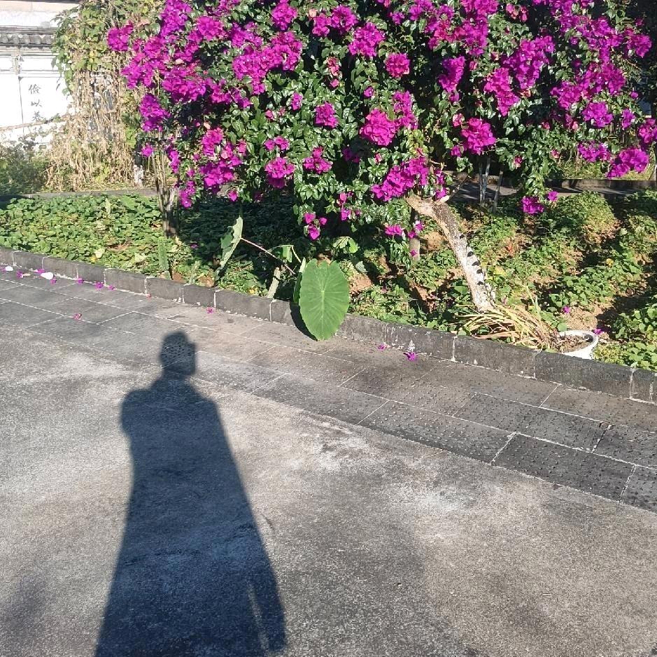 刘青山