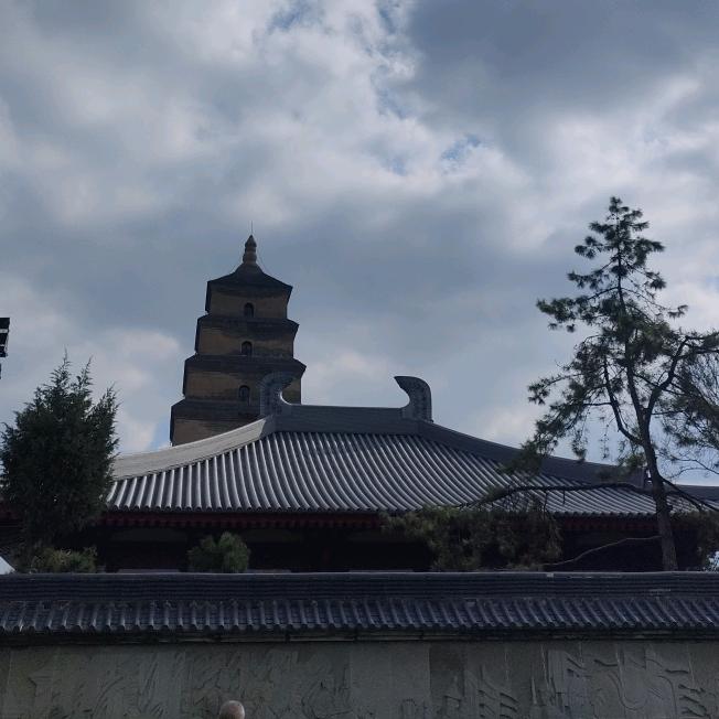 靳志强