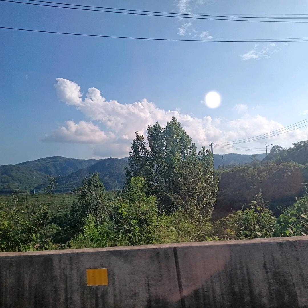 80584505319
