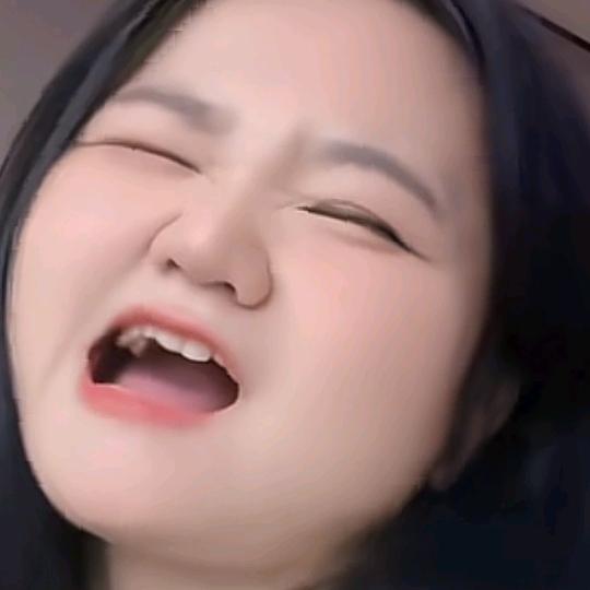 小雪大肥猪